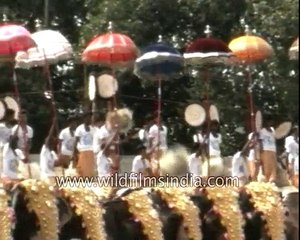 India travel show - Thrisurpuram Elephant Festival and Kalaripayatta martial arts