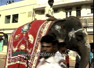 Musical procession of Lord Jagannath Rath Yatra in Chennai