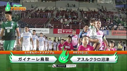 ガイナーレＴＲＩＢＥ