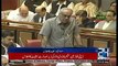 Asad Umar Explaining About Remittance System Reforms in Senate House