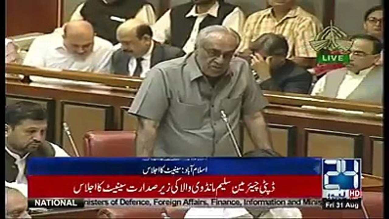 Asad Umar Explaining About Remittance System Reforms in Senate House