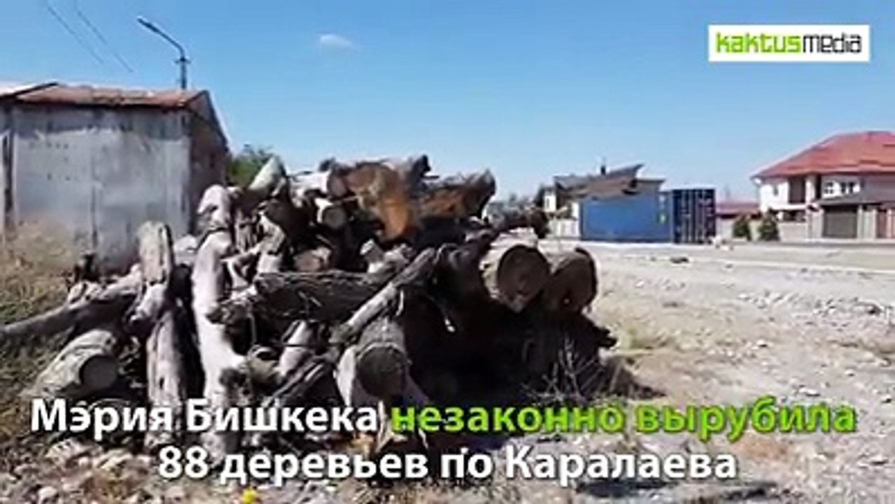 В Бишкеке незаконно вырубили 88 деревьев, расширяя дорогу. Однако построить ее так и не смогли -  она оказалась заблокирована ‍♀️ Подробнее об этом по ссылке 