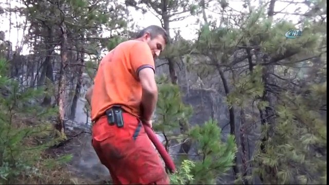 Bolu’da, 2 Hektarlık Orman Arazisi Yangında Zarar Gördü