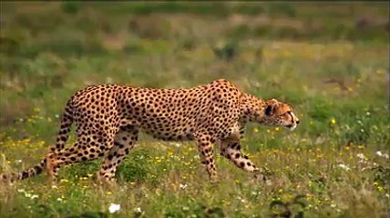 Prochainement... La 4G arrive bientôt 📱