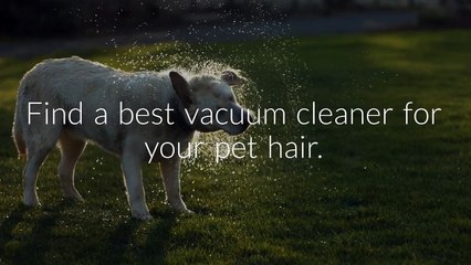 Best Rated Vacuum Cleaners for Pet Hair