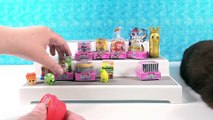 Paul vs Shannon Blind Bag Challenge Shopkins Season 10 Edition Toy Opening _ PSToyReviews
