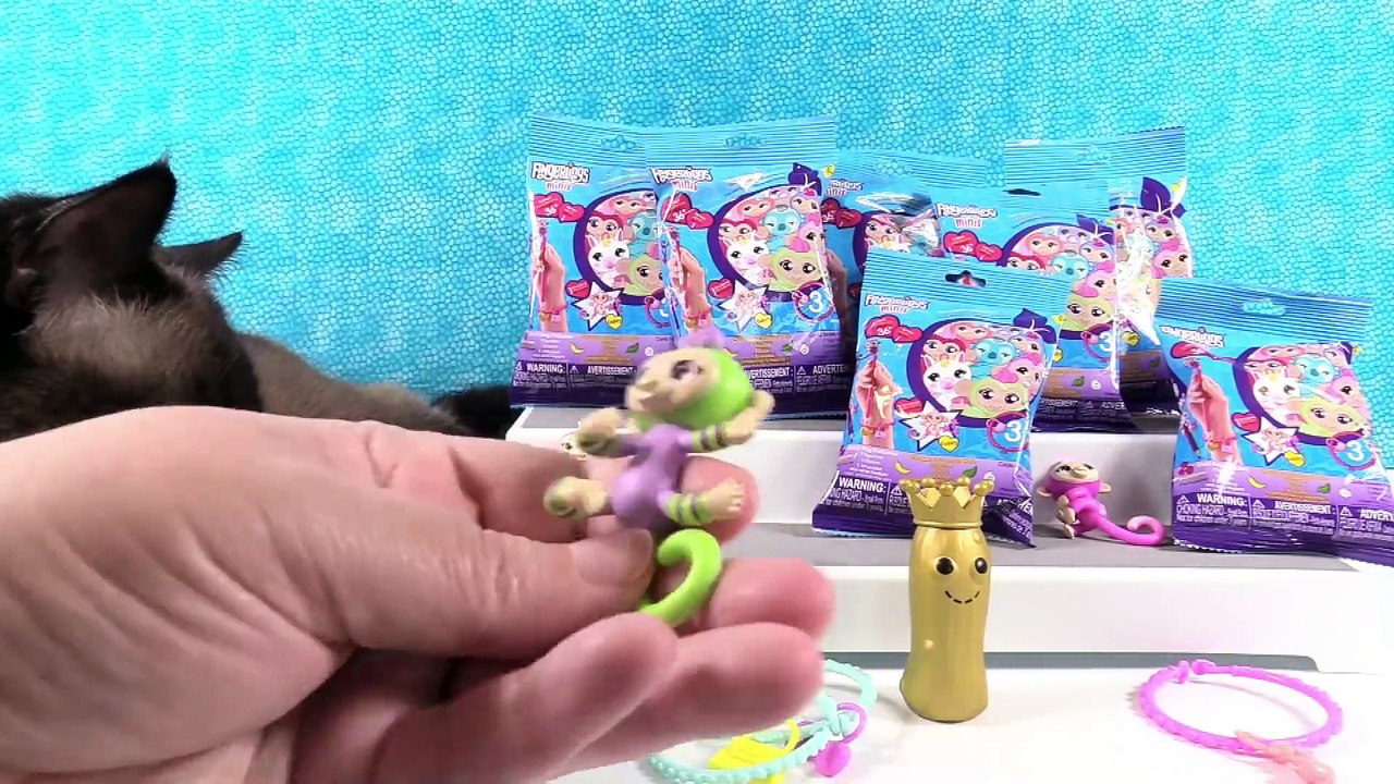 Paul vs Shannon Fingerlings Minis Challenge Series 1 Blind Bag Toy Review _ PSToyReviews