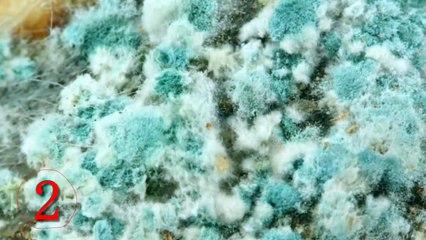 Sabah Evi İlk Kez Su Ve Tuz İle Temizledi - Akşam Olanları Görünce Kocası İnanmadı