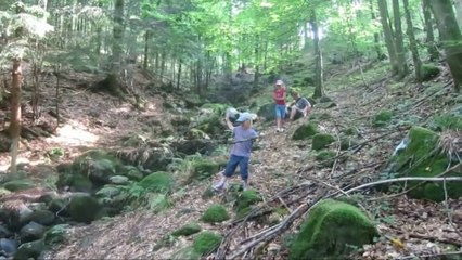28/08/18 : parcours d'orientation dans la forêt vosgienne