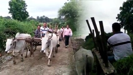 खुद बैलगाड़ी चलाकर निरीक्षण करने पहुंचे जिला पंचायत सीईओ