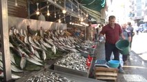 Balık Sezonunun Açıldı, Hem Balıkçıların Hem de Vatandaşların Yüzü Güldü