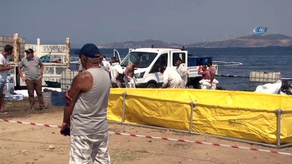 Başkan Demirağ’dan petrol kirliliğine ilişkin açıklama