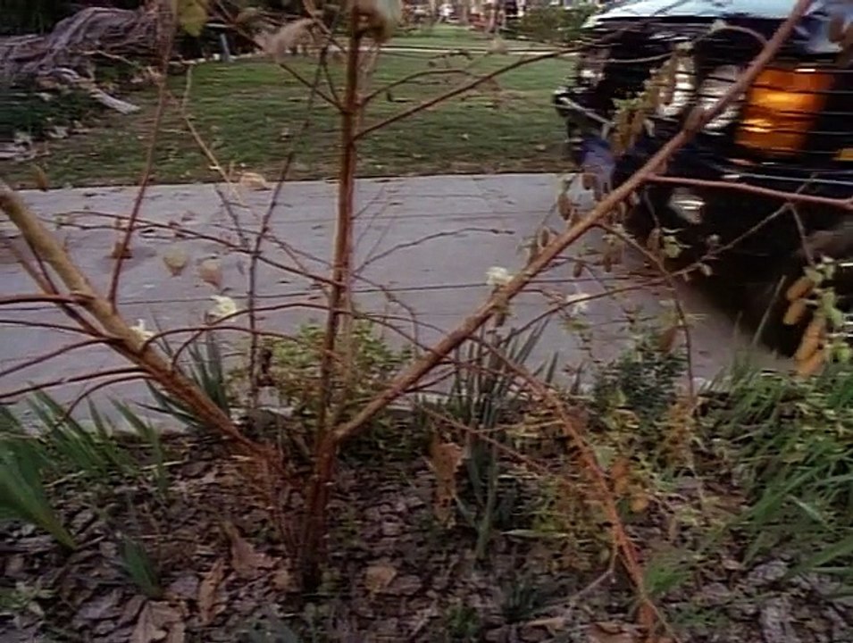 Tales From The Crypt S 4 E 7