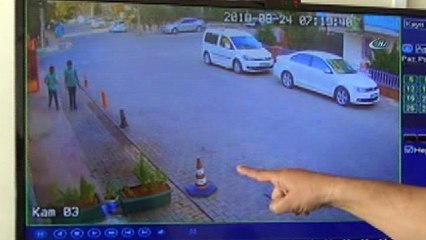 Çocukların muhabbet kuşu hırsızlığı pes dedirtti...O anlar kamerada