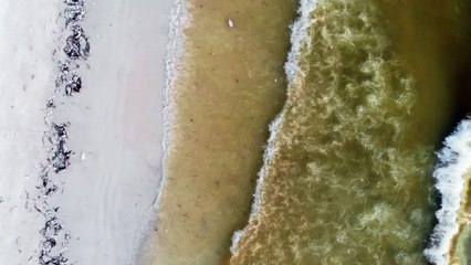 Bradenton Beach Red Tide