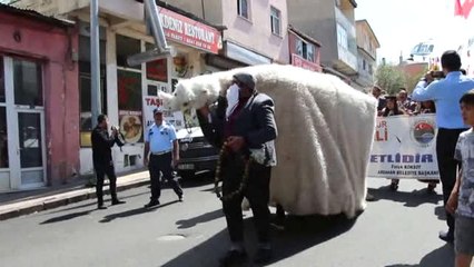 Ardahan 17. Kültür ve Bal Festivali Başladı