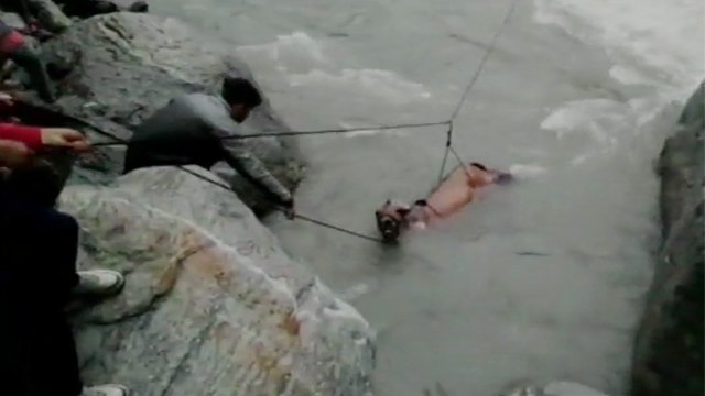 SDRF team rescues Horse from Yamuna River in Uttarkashi; Watch Viral Video | वनइंडिया हिंदी