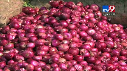 Despite good onion production, why Bhavnagar farmers are in sorrow