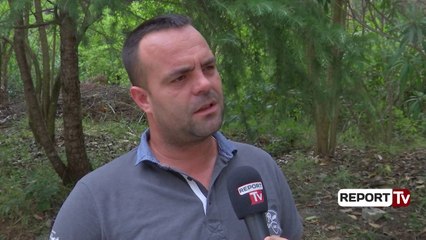 Laç, 'Nxorri një pistoletë dhe ma drejtoi', gazetari i Report TV tregon për kërcënimin