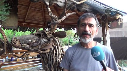 Doğada görevini tamamlayan ağaçlarla sanat eserleri ortaya çıkarıyor