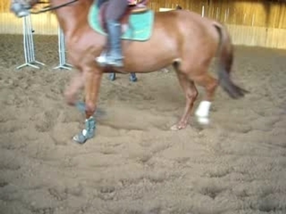 Dscn0208