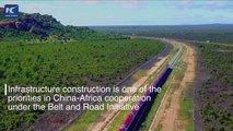 What has come of China-Africa ties over the past five years? We have five keywords that define this dynamic relationship.