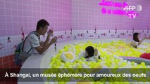 En Chine, une expo éphémère autour des oeufs