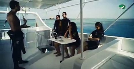 القرش لو ظهر تحت المايه نتعامل معاه كأنه كلب بلدي ماشي في الشارعشاهد فيلم اذاعة حب عبر #روتانا ..