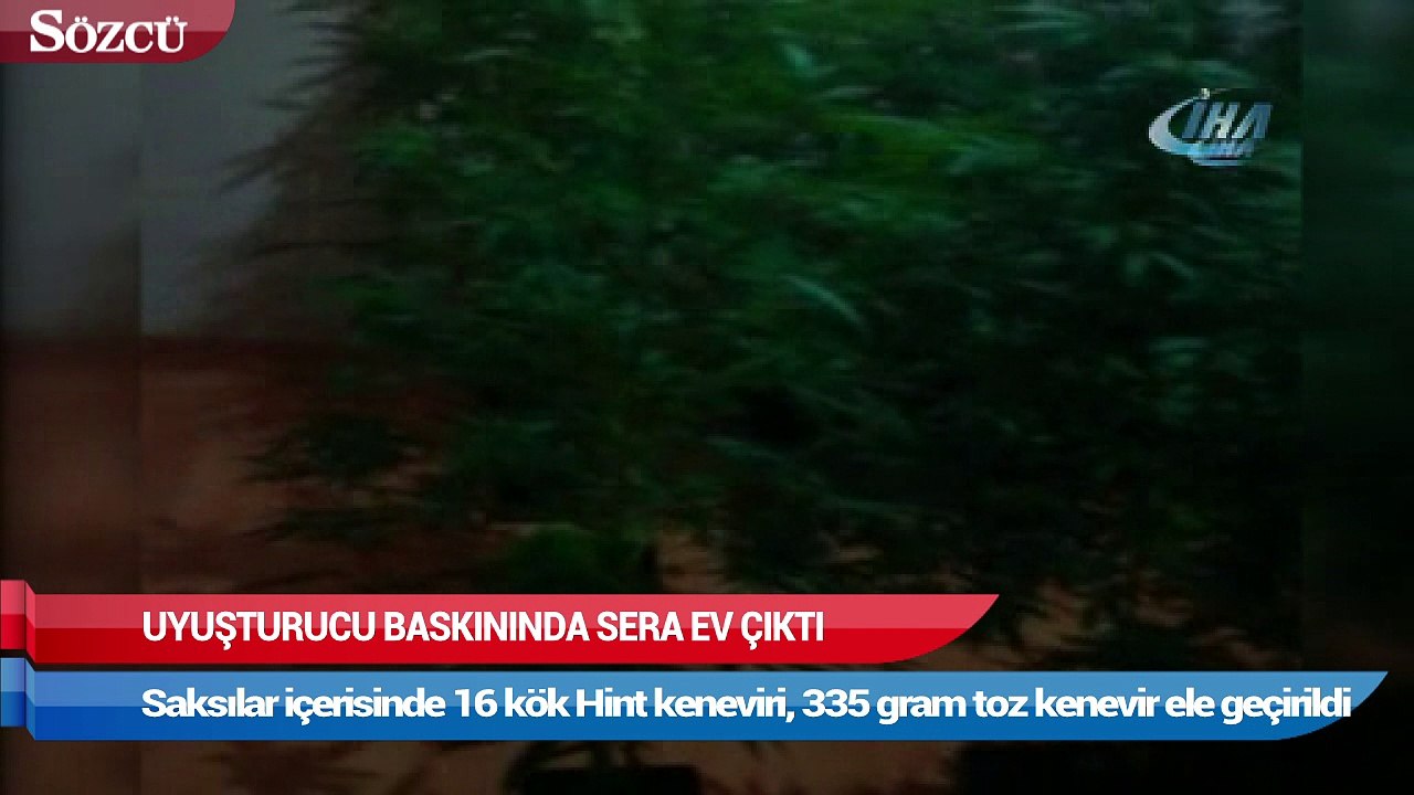 Uyuşturucu baskınında sera ev çıktı