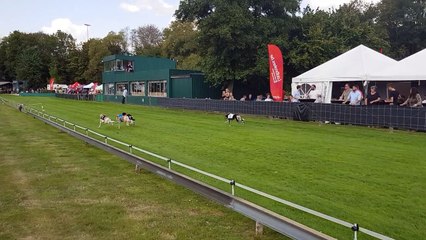 DDH-AWANS-CHAMPIONNAT-MONDE