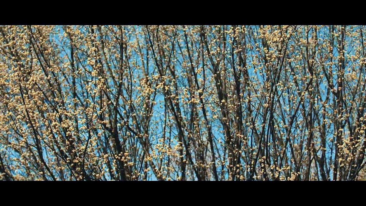 Jola i Kamil. Dzień, w którym wszystko się zmieniło