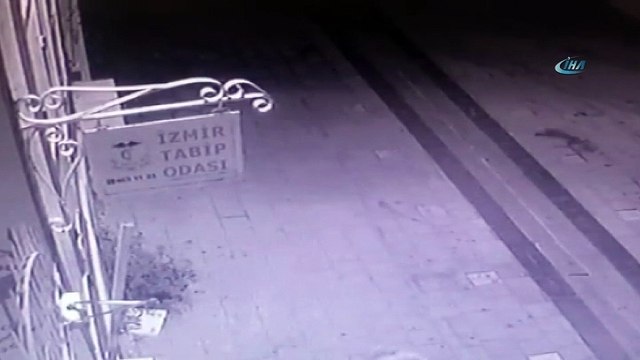 'Böylesi ne görüldü, ne duyuldu' dedirten hırsızlık olayı kamerada
