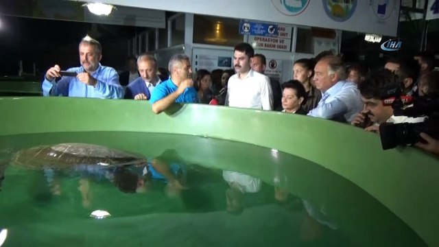 Bakan Kurum Caretta Carettaları denizle buluşturdu