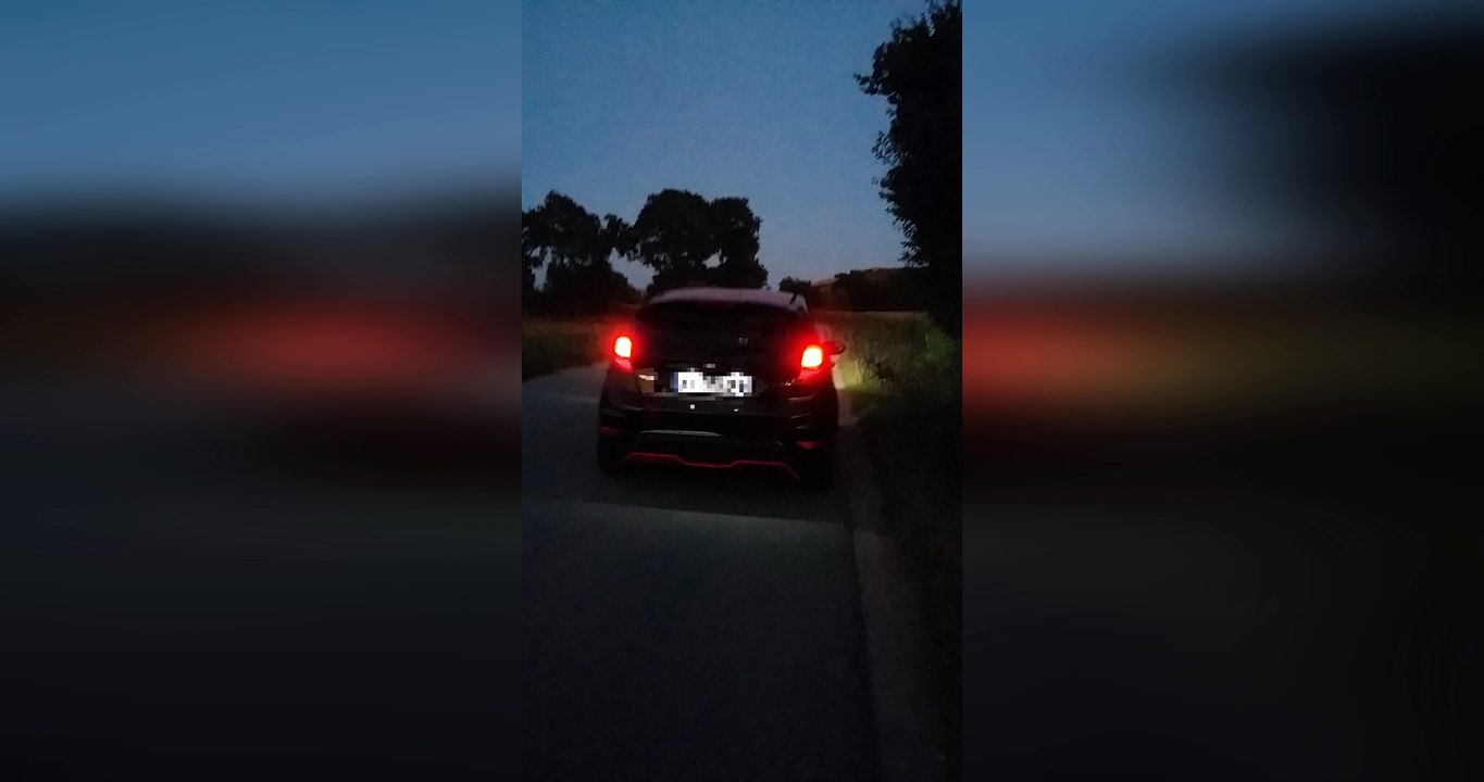 Fiesta ST Line Silencieux ST