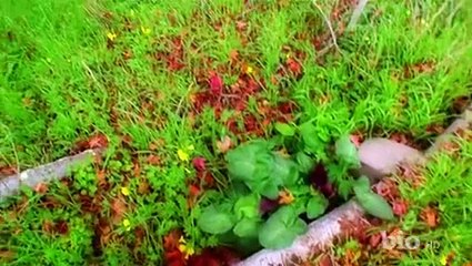 My Ghost Story S01E04