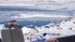 Nuuk Fjord is the largest fjord system in western Greenland, and here you will find the settlement of Kapisillit with a population of 69 inhabitants. Kapisillit