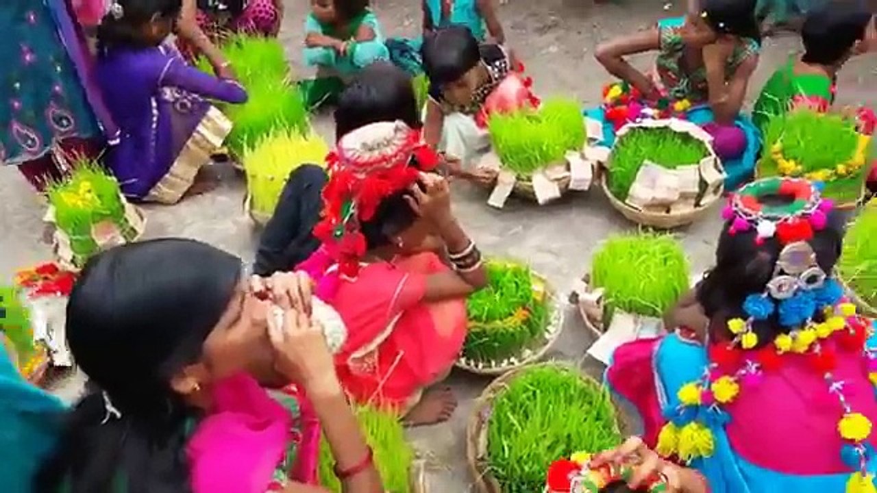 तीज परव पर खेली जाने वाली सुन्दर सुआ नाच का एक झलक वीडियो