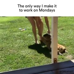 The only way I make it to work on Mondays