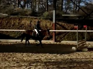 Lupin et moi (cso unieu 70 cm)