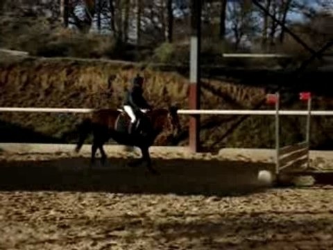 Lupin et moi (cso unieu 70 cm)