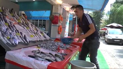 Eskişehir'de Balıklar Tezgaha İndi