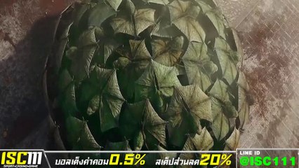 ดูหนัง เดอะ เกรท วอลล์ part 2/2