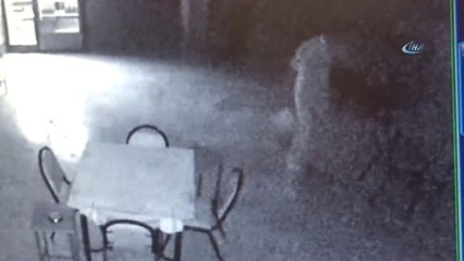 Para Bulamayınca Çay ve Şeker Çaldılar...hırsızlar 4 Gün Arayla 2. Kez Aynı Kafeye Girdi