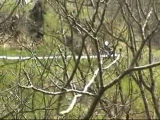 [ENDURO] Coupiac 2007 [Goodspeed]