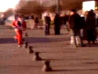 Père noel scofield devans le lycé de segré 49