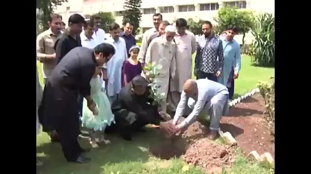 انفارمیشن منسٹر فواد چوہدری نے حکومت پاکستان کی 10ارب درخت مہم کے سلسلے میں پلانٹ فار پاکستان ڈے میں شامل ہوتے ہوئے درخت لگایا اور میڈیا سے گفتگو کی۔