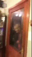 The Saga of a Bat Trapped in Irish House