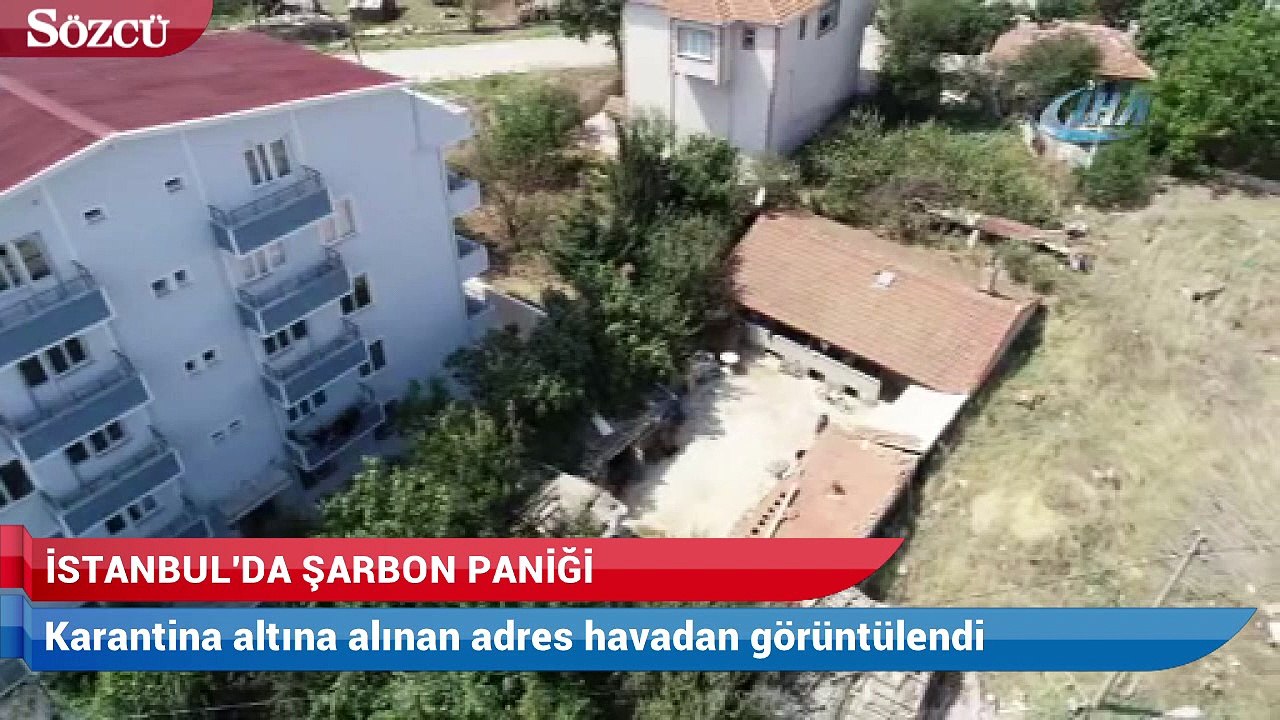 Şarbonlu hayvanın alındığı iddia edilen adres h...