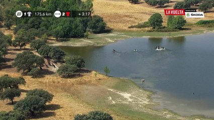 Wild horses - Étape 9 / Stage 9 - La Vuelta 2018