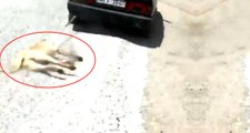 Sahibinin Aracının Arkasına Bağlayıp Sürüklediği Köpek, 'Zabıta' Oldu